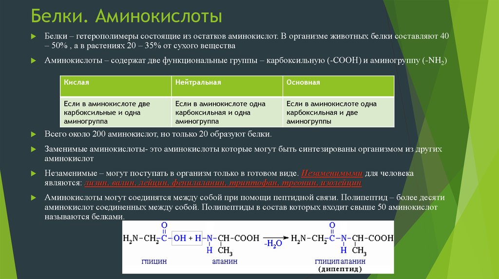 Белки аминокислоты картинки