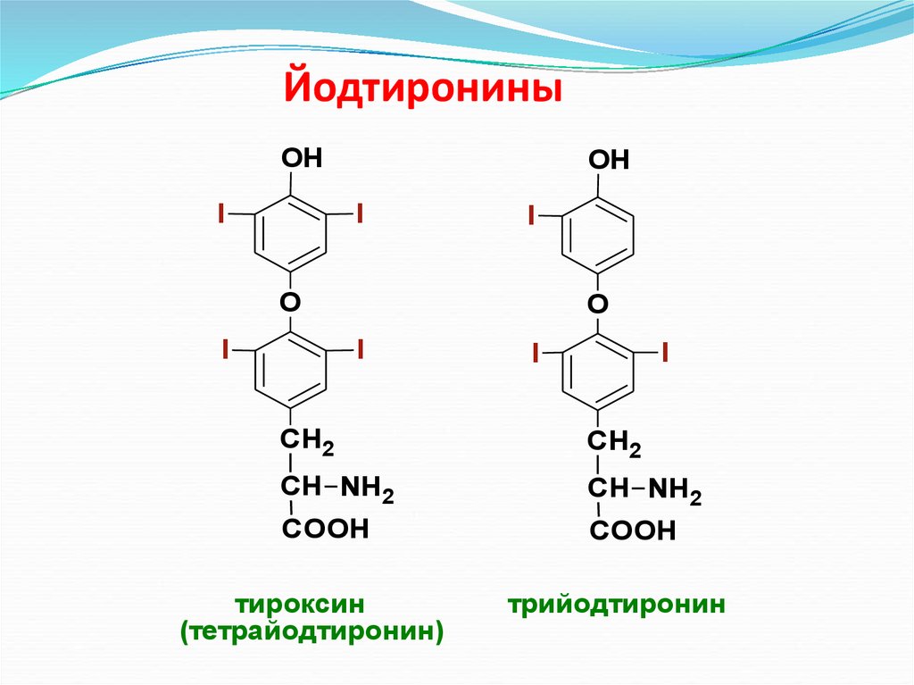 Трийодтиронин. Иодтиронин. Азотистые основания формулы. К иодтиронинам относят. Доноры одноуглеродных групп аминокислоты.