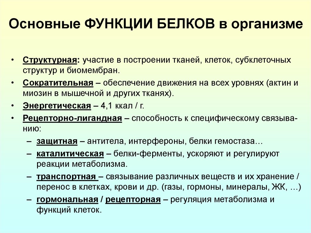 Функция белков в организме презентация