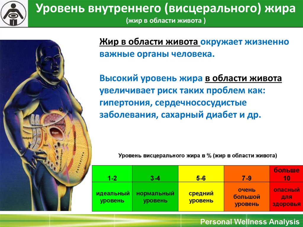 Висцеральный жир как убрать женщинам после 50