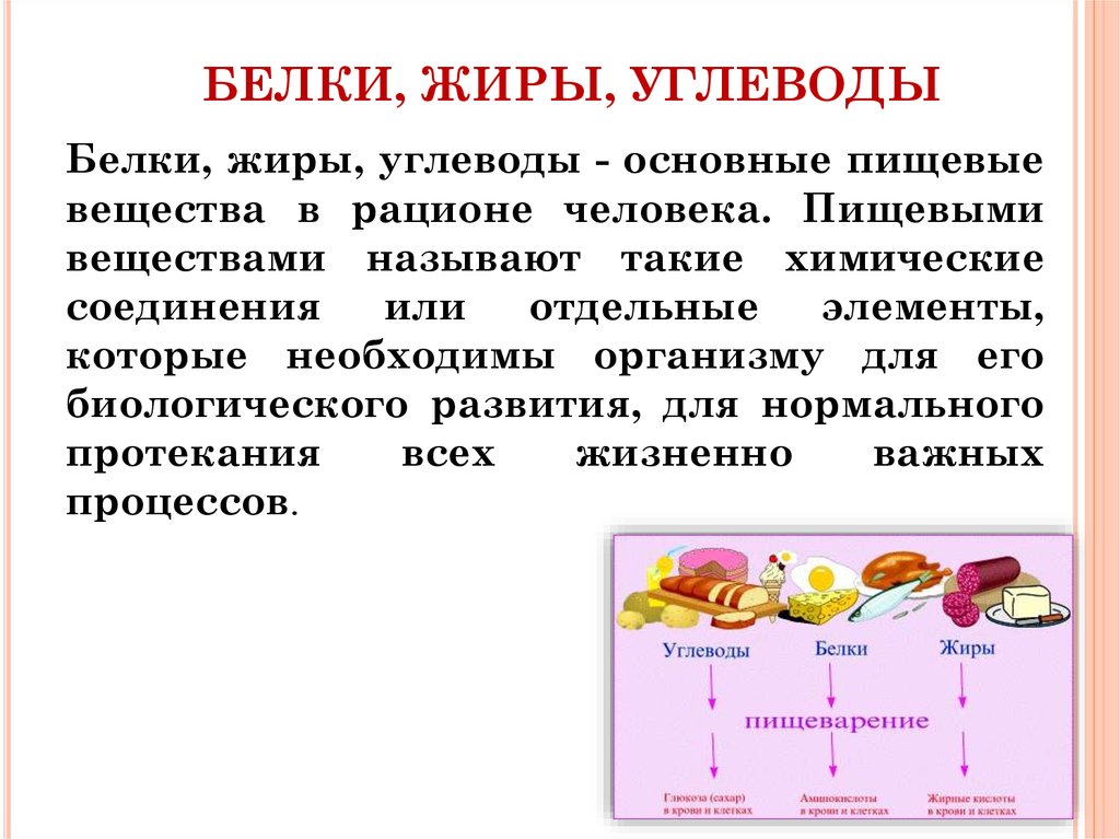 Белки в организме презентация