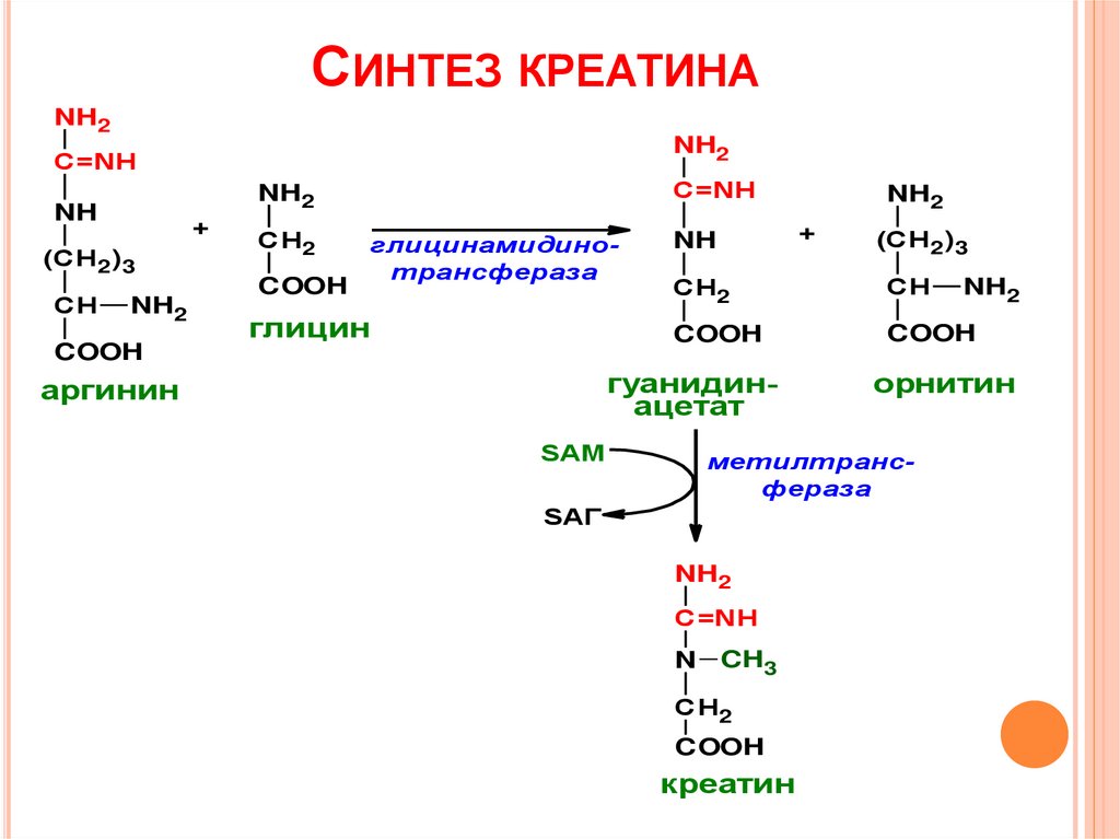 Загрузка креатином схема