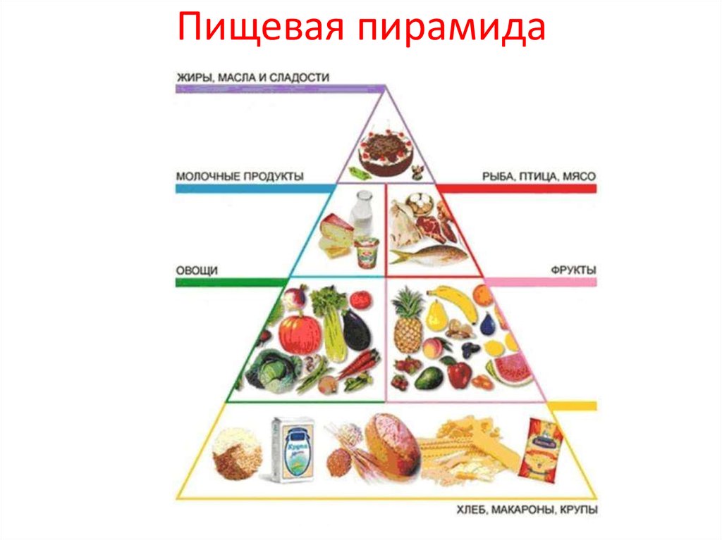 Проект по технологии 5 класс питание и здоровье человека