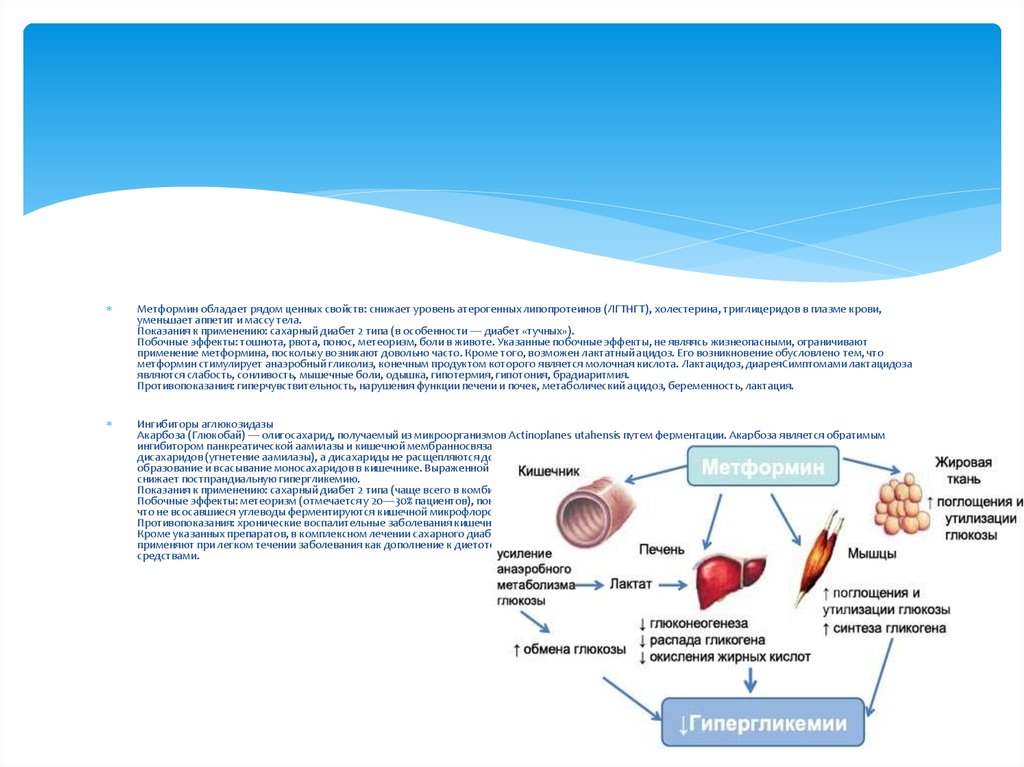 Применение метформина при сахарном диабете 2
