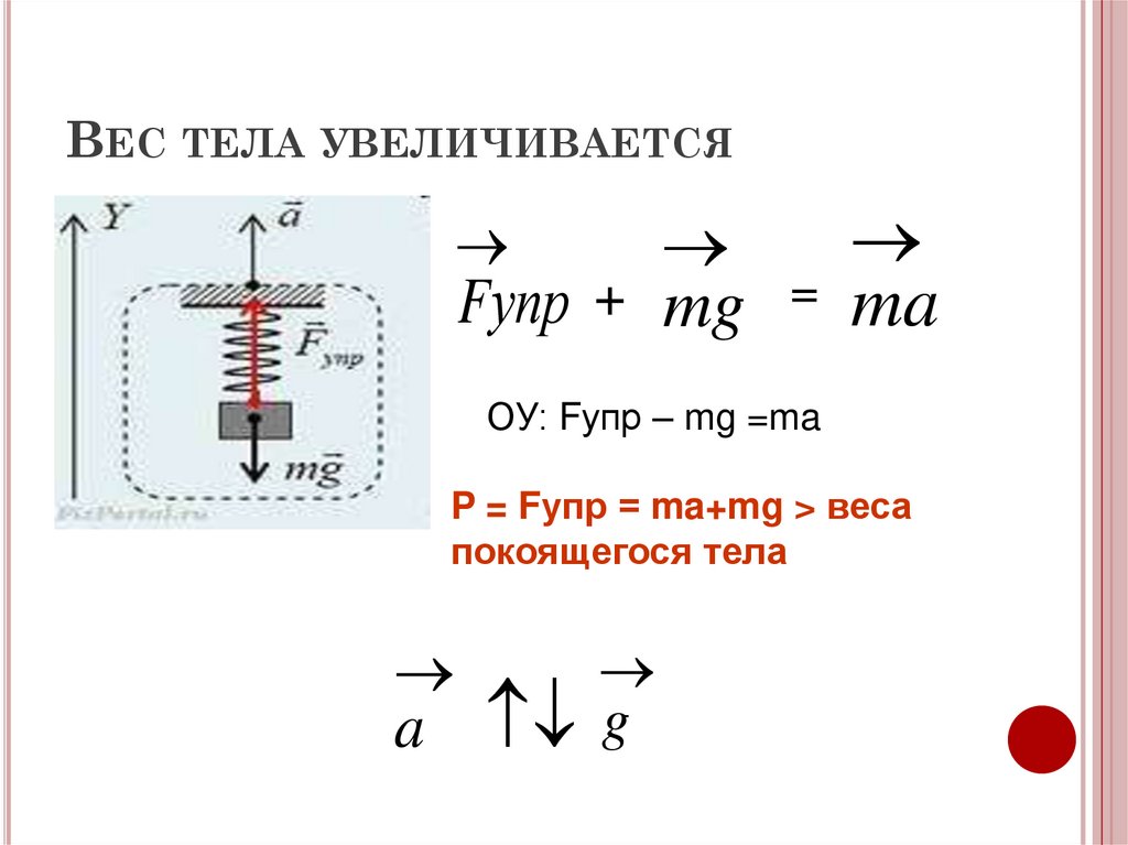 База масс