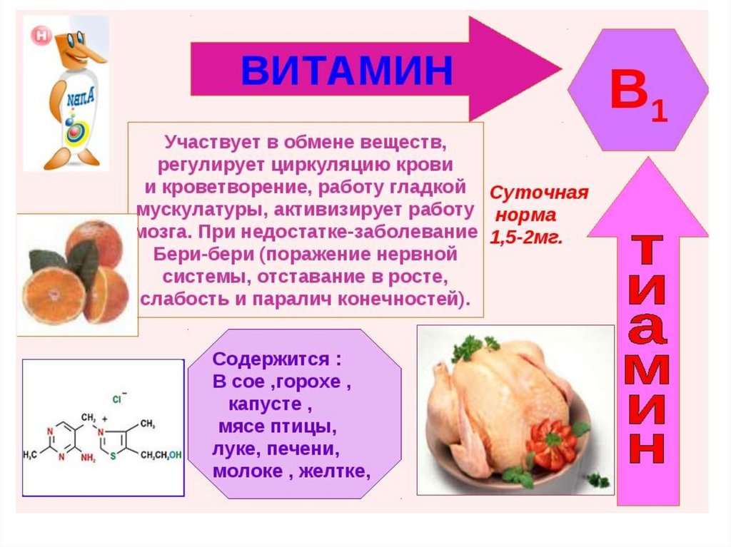 Витамины в жизни человека проект 9 класс