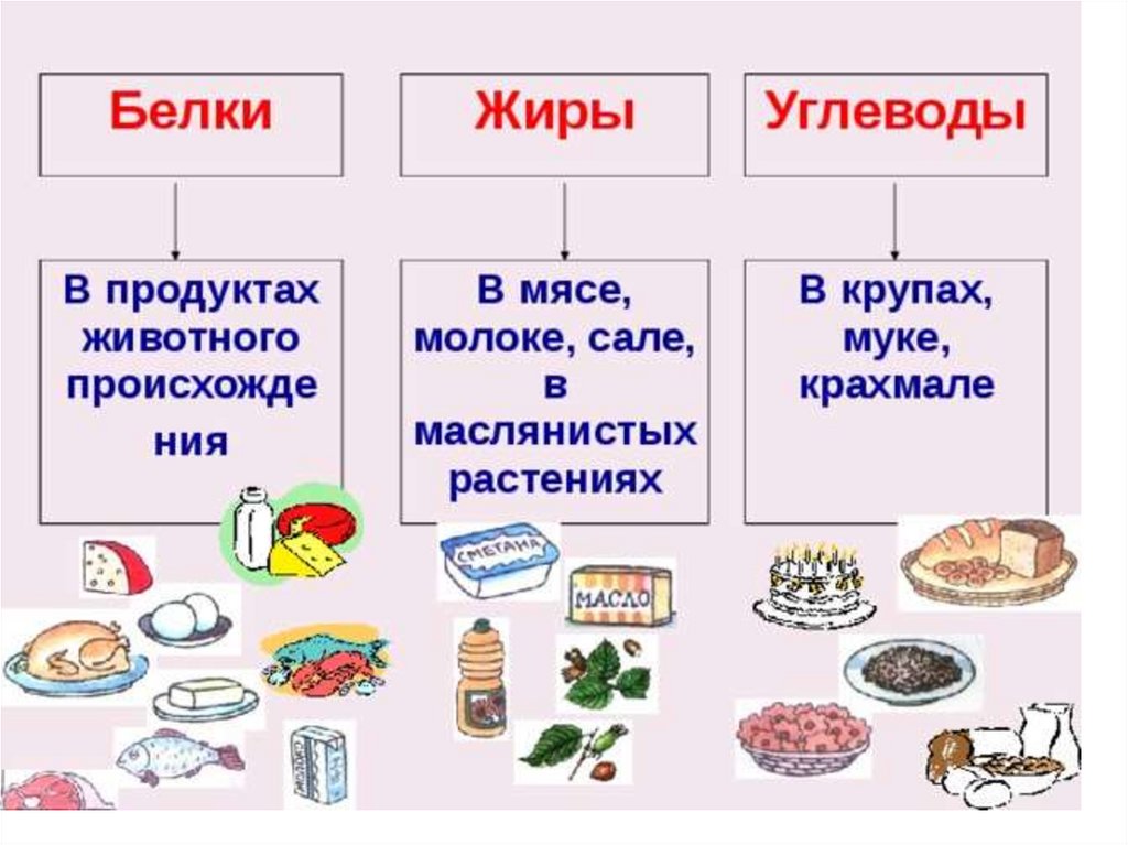 Жиры углеводы презентация