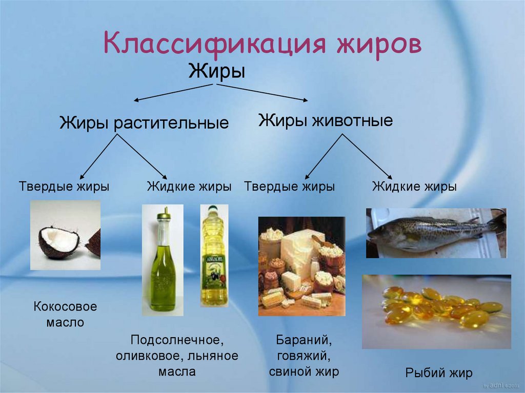 Продукты содержащие растительные масла