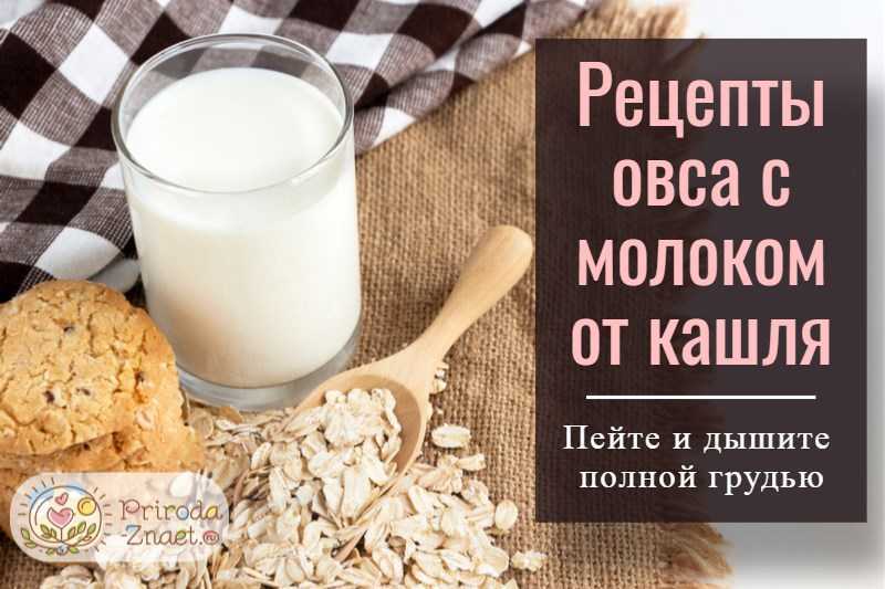 Рецепт от кашля с молоком. Овес с молоком от кашля. Овес от кашля. Овес в молоке. Овсяное молоко от кашля.