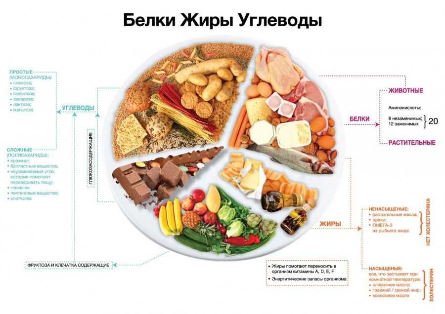 Салат терка белки жиры углеводы