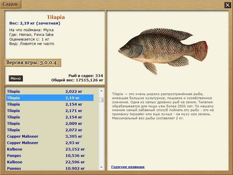 Максимальный вес рыб. Тилапия рыба. Тилапия вес рыбы. Рыба тилапия максимальный размер. Самая крупная рыба тилапия.