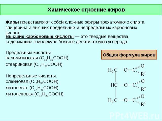 Жиры в химии презентация