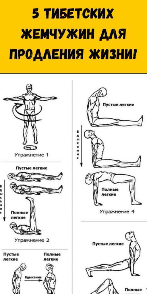 Пять тибетских жемчужин упражнения картинки