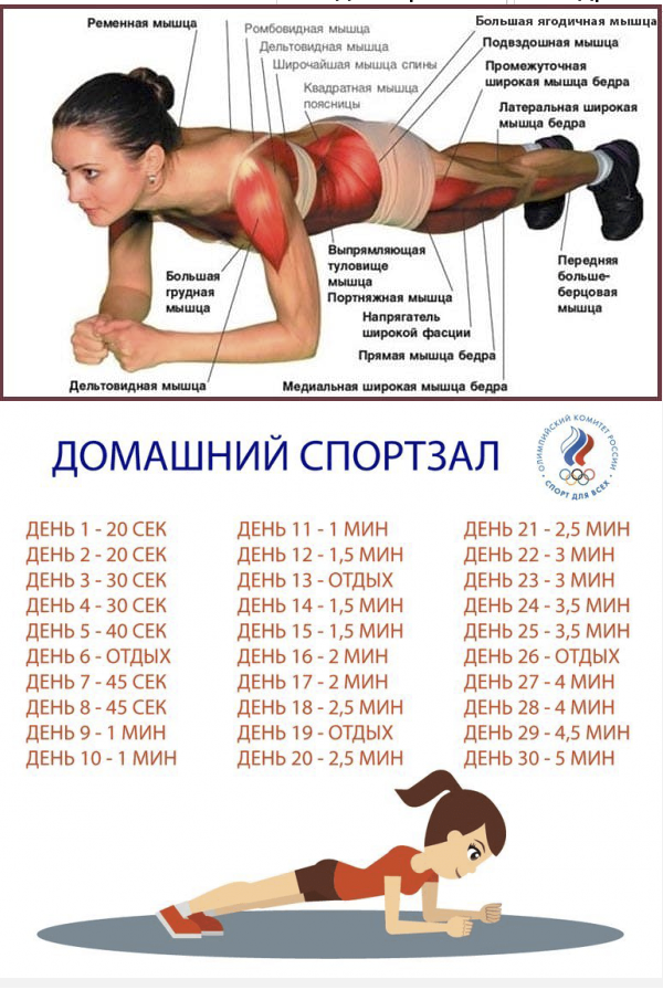 Упражнения планка для похудения как правильно