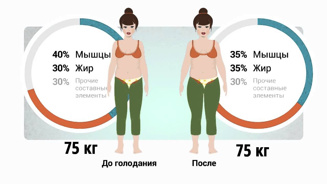 Сколько в процентах килограмм. Процент жира в организме. Соотношение мышц и жира у женщин. Процентное соотношение жира и мышц. Норма жира в организме.