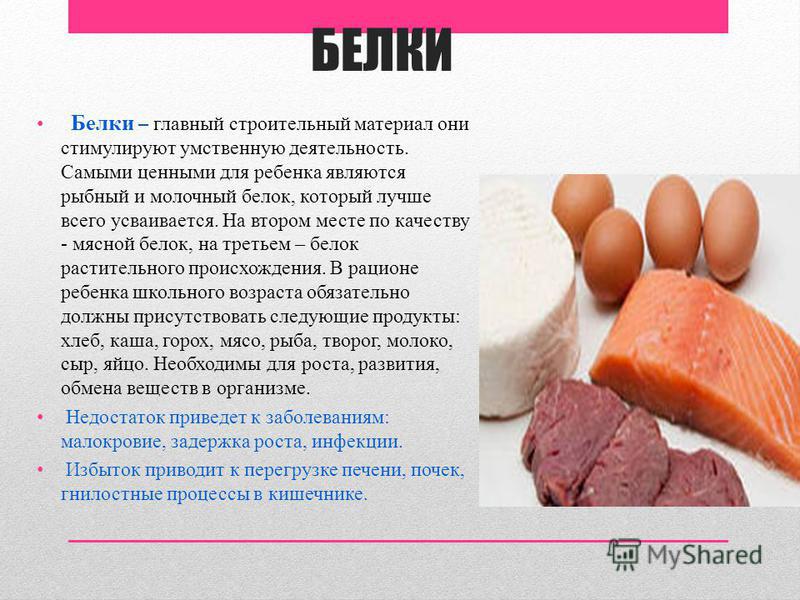 Основным источником белка является. Белки продукты. Белок в мясе. Белок строительный материал. Основные белковые продукты.