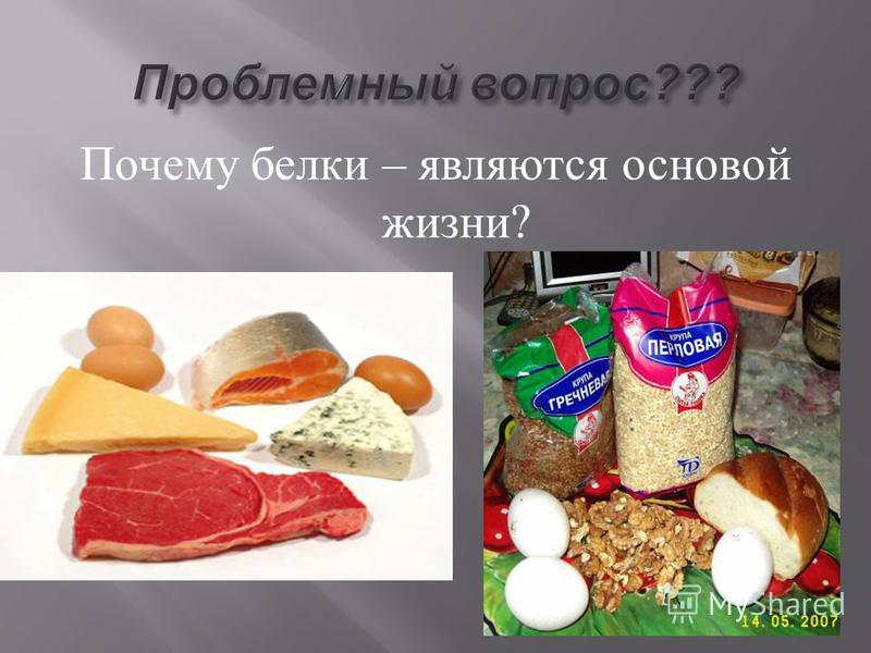 Белки основа. Белки основа жизни. Почему белки являются основой жизни. Белки основа жизни презентация. Почему белки основа жизни.