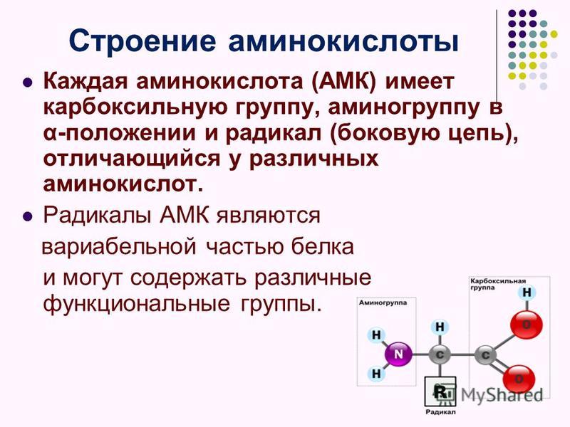 Строение и свойства аминокислот. Строение строение аминокислоты. Аминокислоты: строение, классификация, функции. Строение основных аминокислот. Состав и строение аминокислот химия.