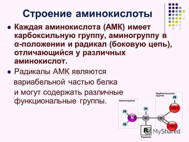 Аминокислота имеет. Схематичное строение аминокислоты. Химическое строение аминокислот. Строение основных аминокислот. Структура и свойства аминокислот.