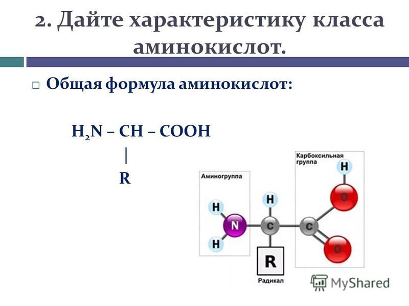 Вещества состоят из аминокислот