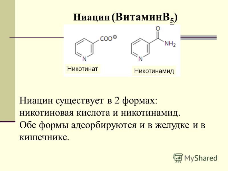 Никотинамид и никотиновая