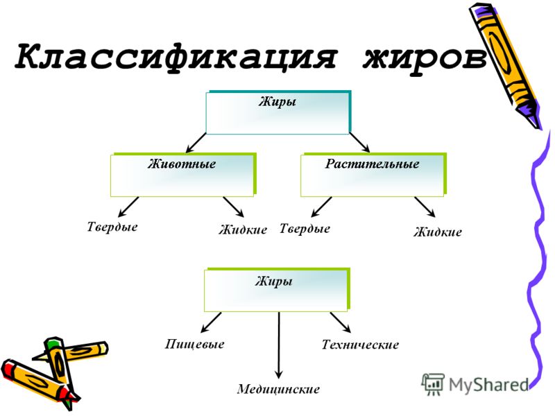 Типы жиров