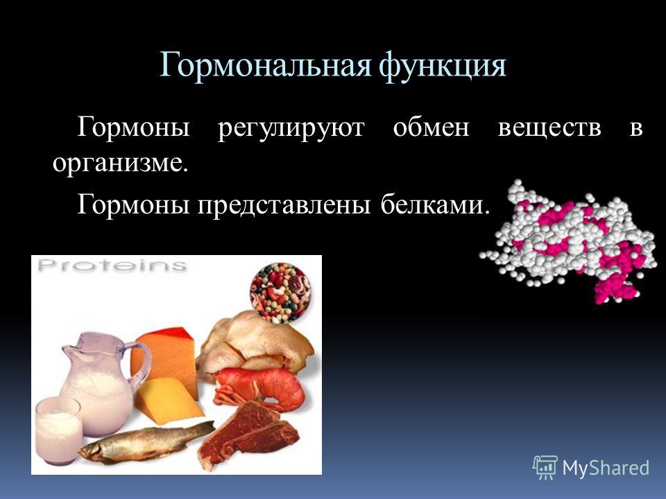 Функция белков в организме презентация