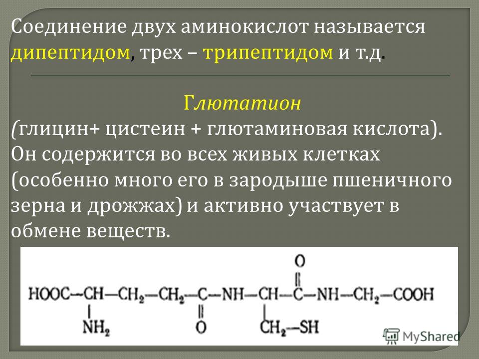 Пять аминокислот и цепь. Аминокислоты образование пептидов. Составление пептидов из аминокислот. Образование трипептида. Уравнение образования трипептида.