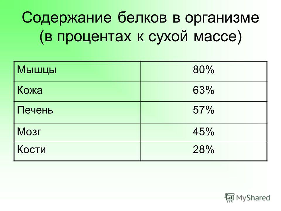 Содержание процентов. Содержание беловоа в организме. Содержание белков в организме. Количество белков в организме человека. Процентное содержание белков в организме.