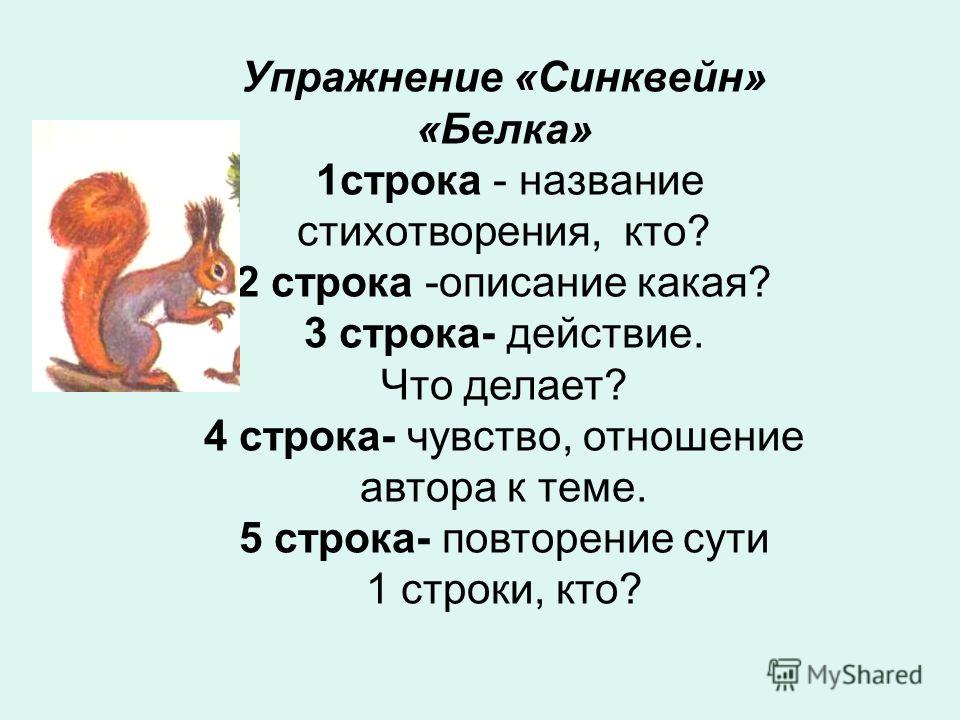 Белка корень. Синквейн белка. Упражнение синквейн.