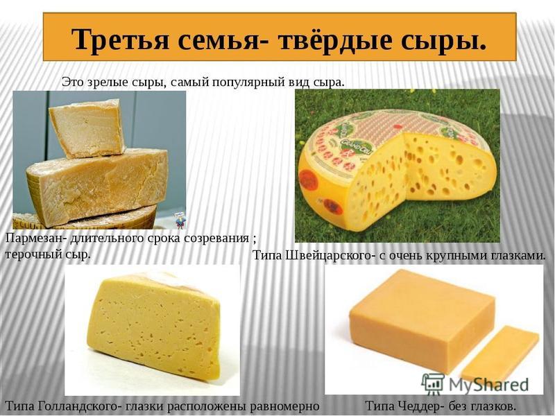 Сыры сорта с картинками