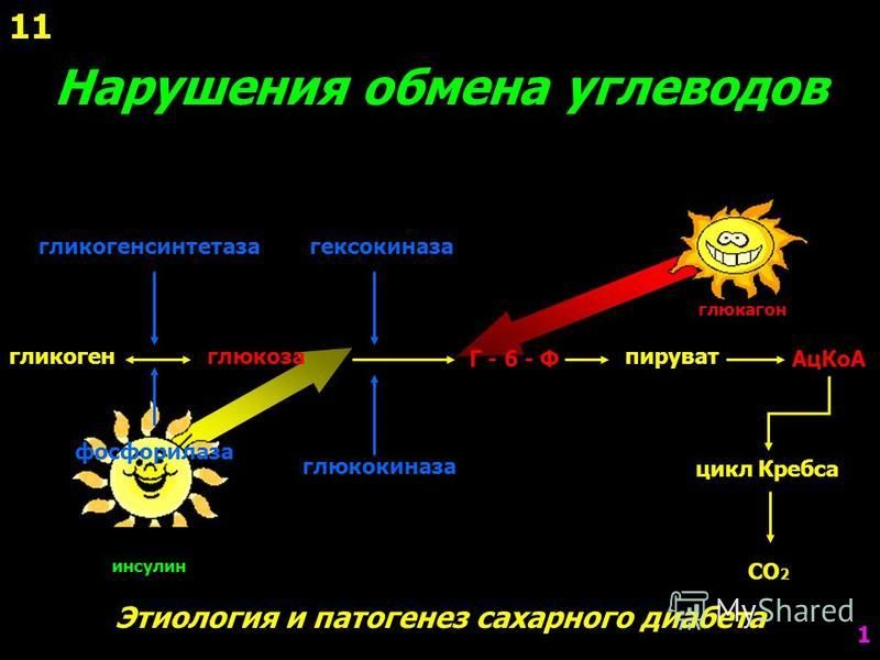 Нарушение углеводного обмена картинки