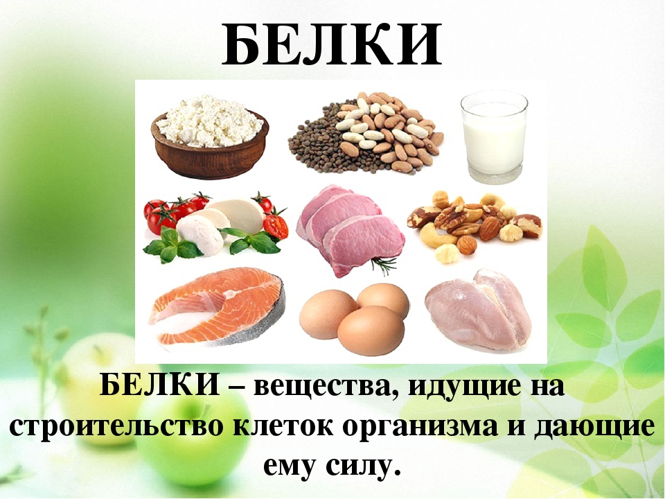 Проект школа кулинаров