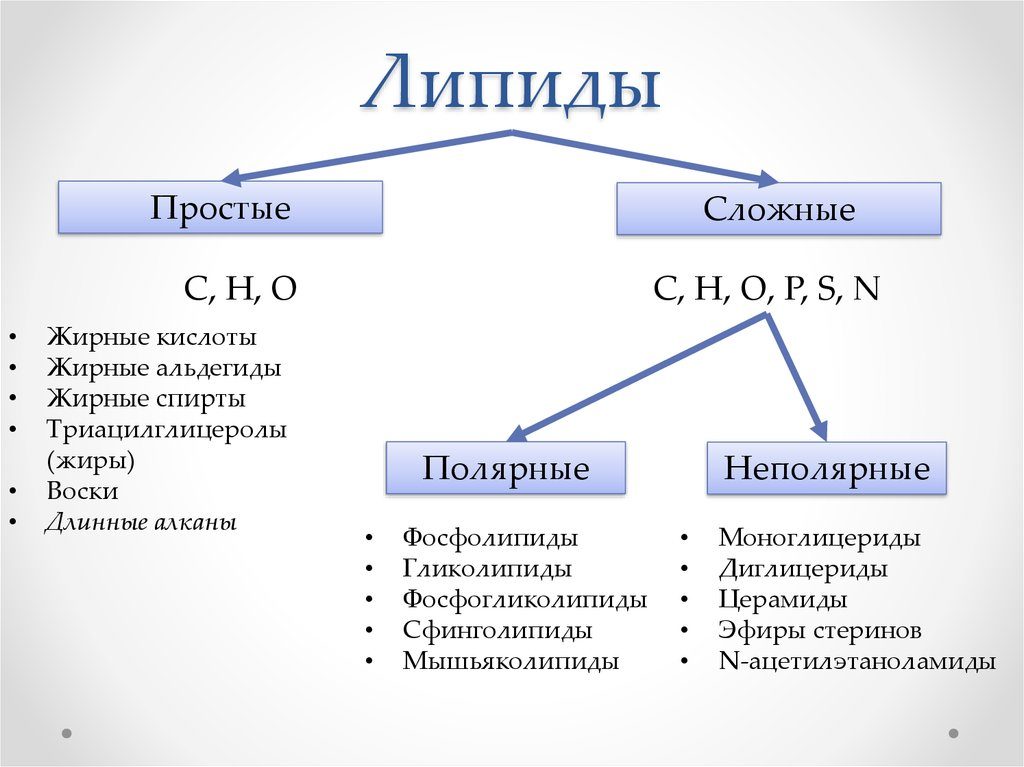 Строение жиров картинка