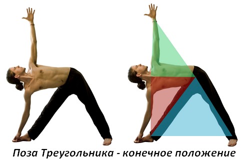 поза треугольника в йоге