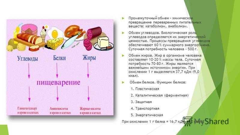 Обмен белков жиров и углеводов презентация