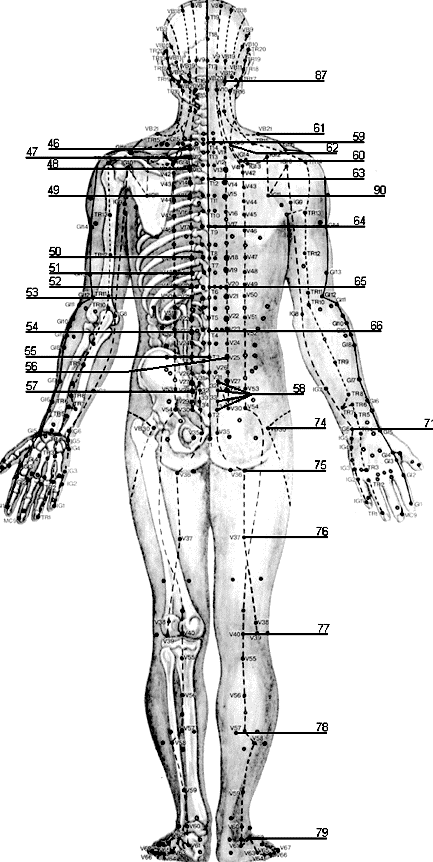 Акупунктура схема точек. Схема меридианов на теле человека акупунктурные точки. Акупунктурные точки на теле человека китайская медицина. Меридиан cx6 акупунктуры. Акупунктура тела человека атлас.