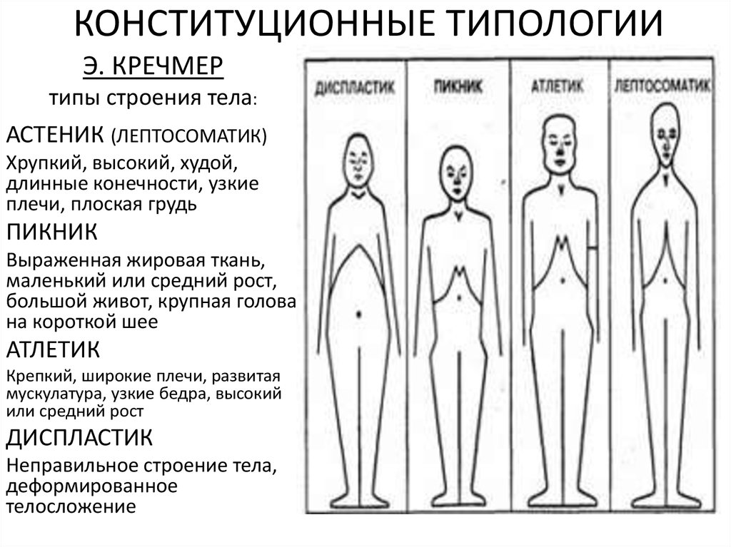 Телесная схема это