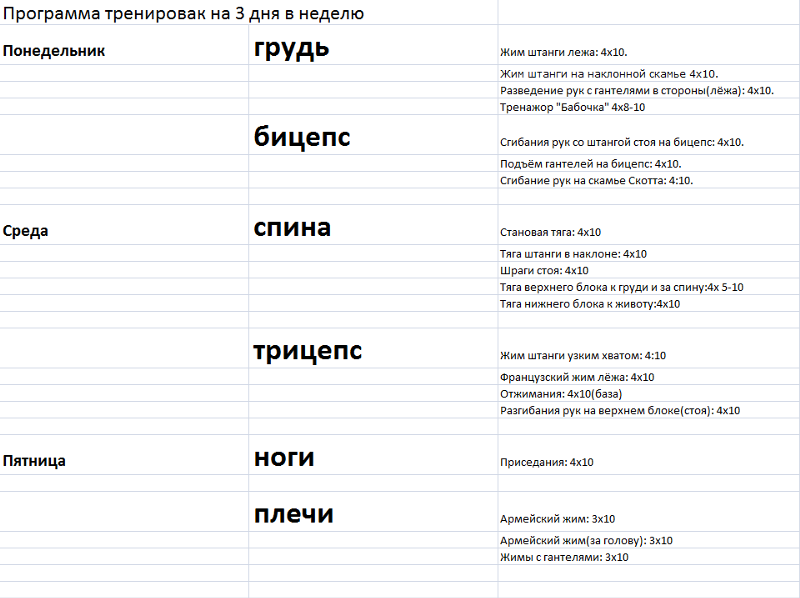 План занятий в тренажерном зале для мужчин 3 раза в неделю