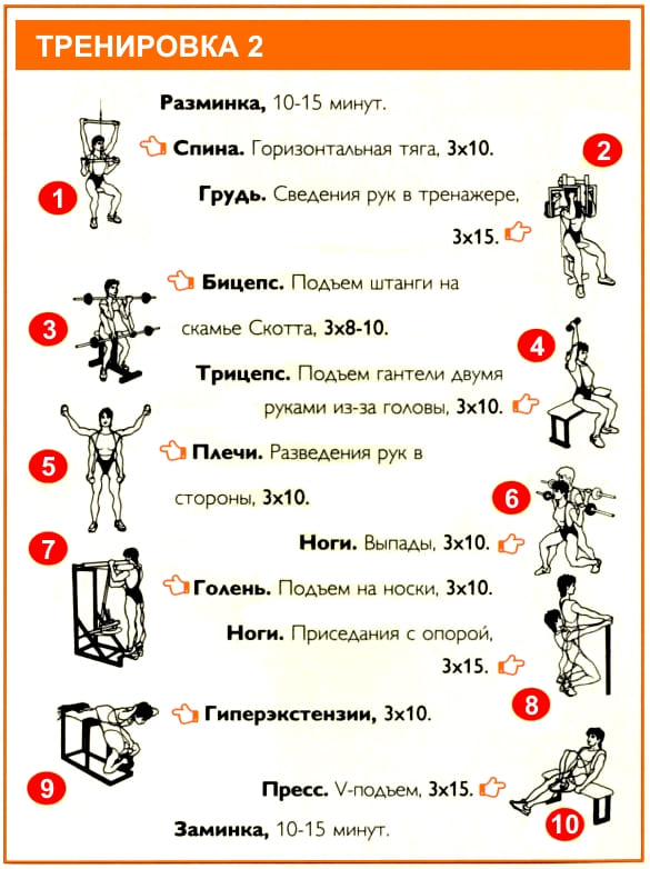 План тренировок для начинающих в тренажерном зале для девушек