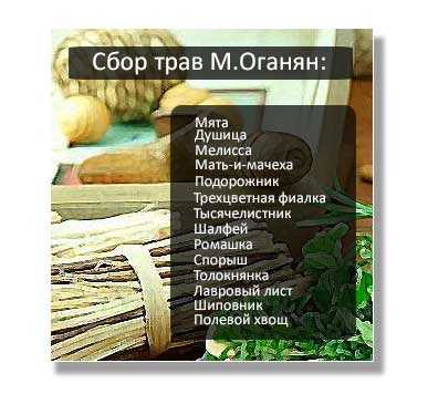 Схема голодания по марве оганян 21 день инструкция