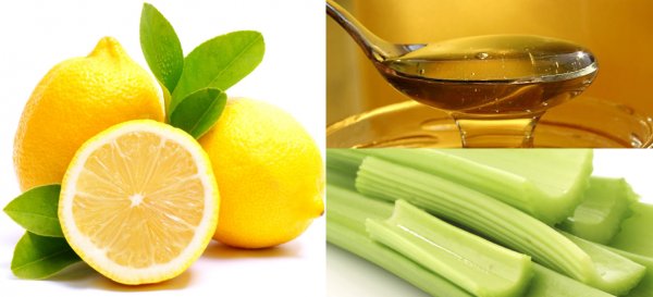 Сельдерей корневой с лимоном и медом. Рецепт сельдерей лимон и мед от артроза. Мёд для лечения суставов: народные рецепты и противопоказания