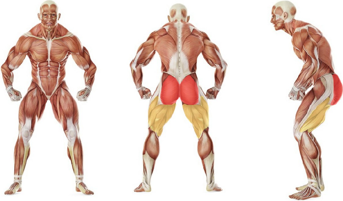Какие мышцы работают в упражнении Махи ногой