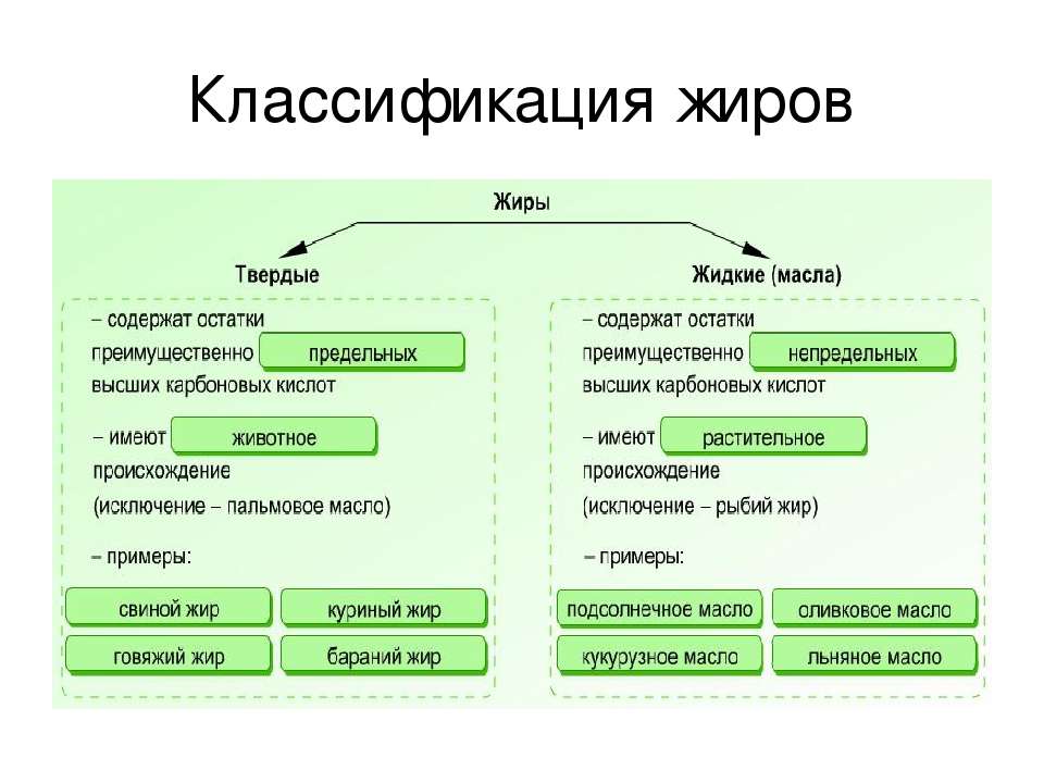 Остатки жиров. Кластер классификация жиров. Жиры классификация химия. Схема классификации жиров. Классификация комбинированных жиров.