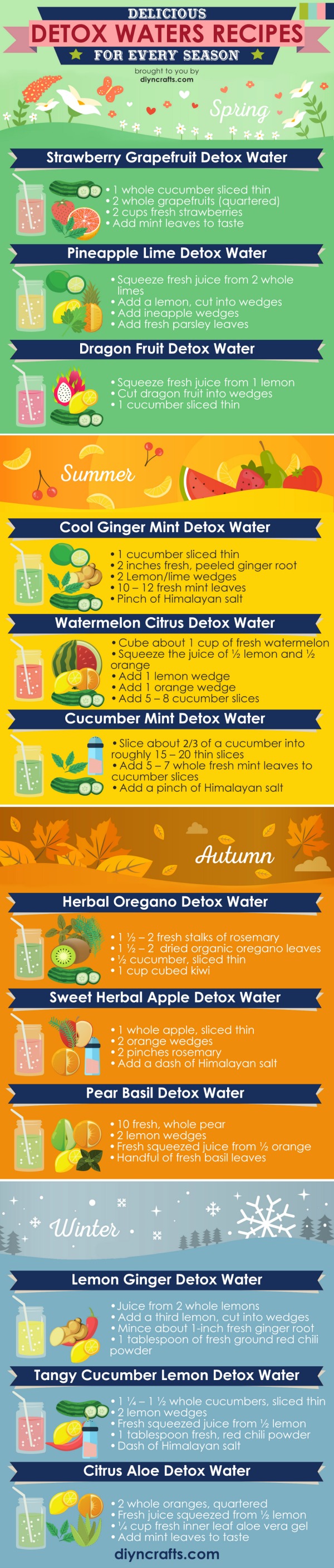 12 Seasonal Detox Water Recipes by DIYnCrafts