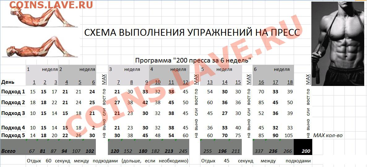 Схема пресса для прокачки пресса в домашних условиях