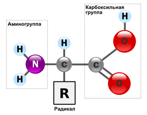 Question book-4.svg