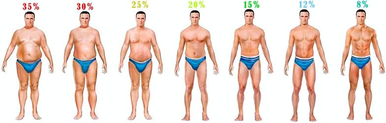 Почему откладывается жир на боках у мужчин за другим по циклической