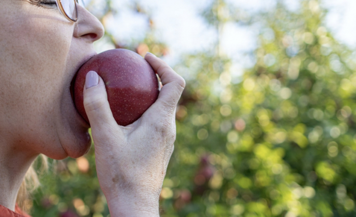 Вкусные варианты разгрузочных дней на яблоках