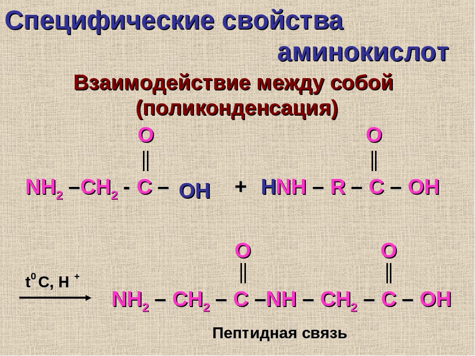 Аминокислоты относятся к соединениям. Реакции аминокислот между собой. Взаимодействие аминокислот с nh3. Реакция взаимодействия аминокислот между собой ?. Взаимодействие аминокислот друг с другом.